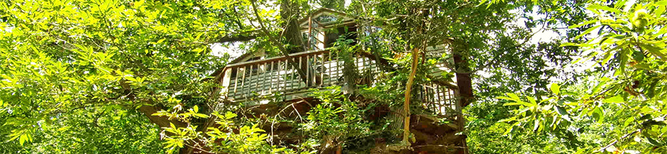 tree house in autumn