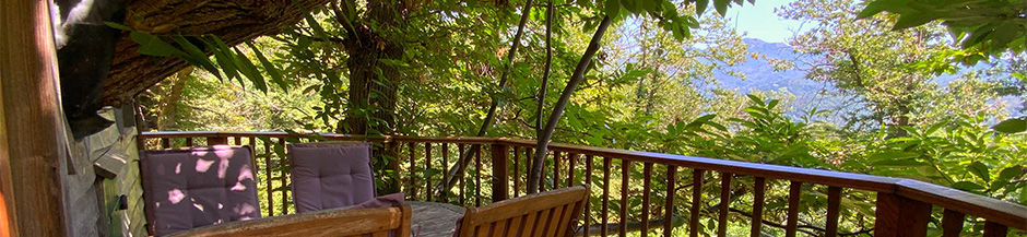 Tree house