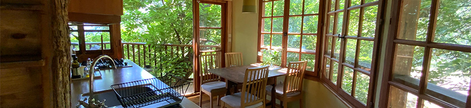 Tree house