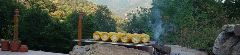 barbeque