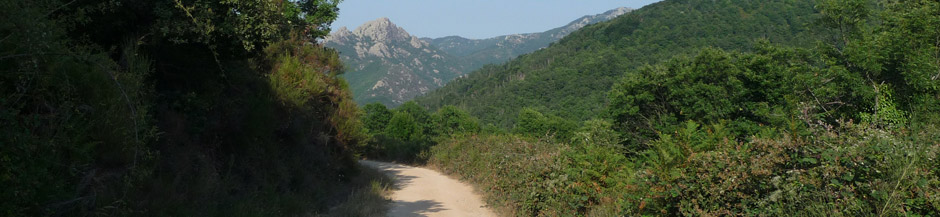 mountain road