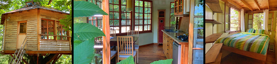 binnen in de boomhut