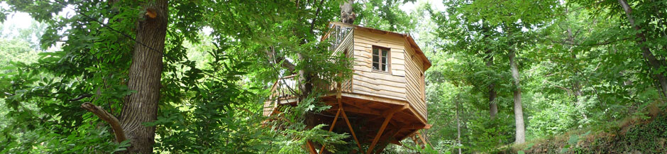Tree house