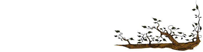 bottom illustration