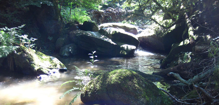 river