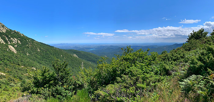 view