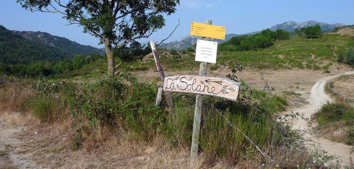 follow the signs