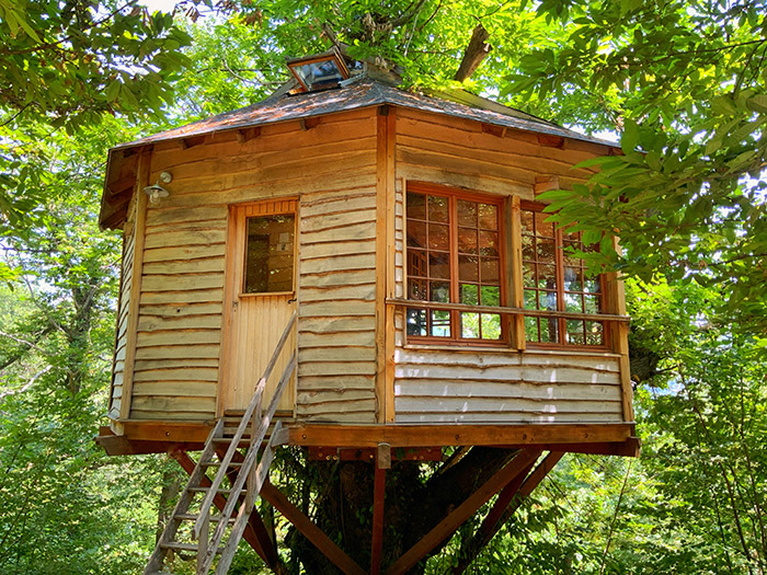 Treehouse